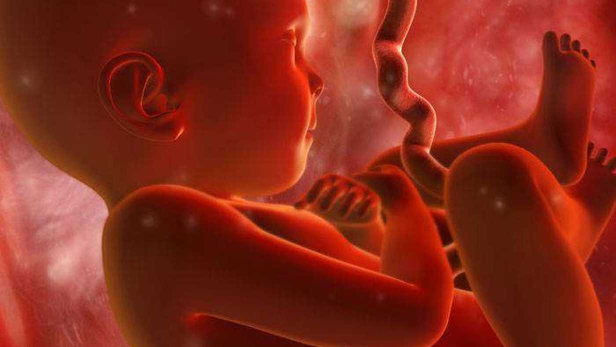 Fetal Gerginlik Nedir?