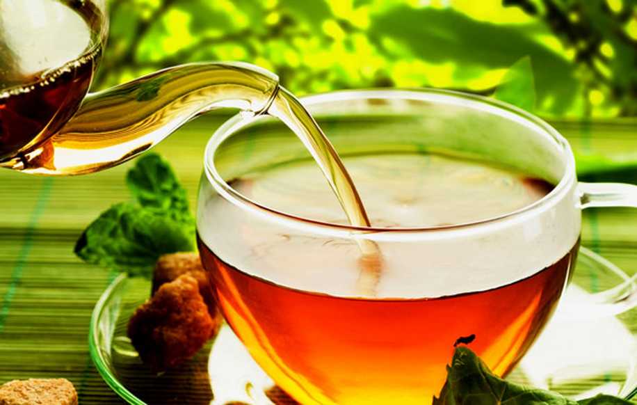 Gebeler Bitki Çayı İçebilir mi?
