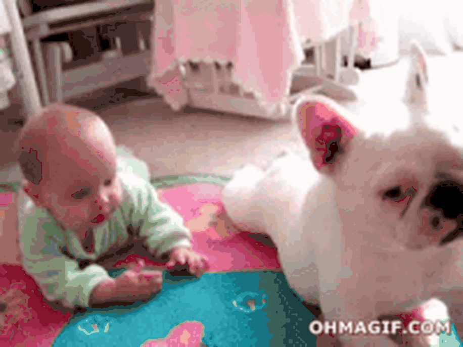 Bebekleri Kıskanan Hayvanlardan Güldüren Görüntüler