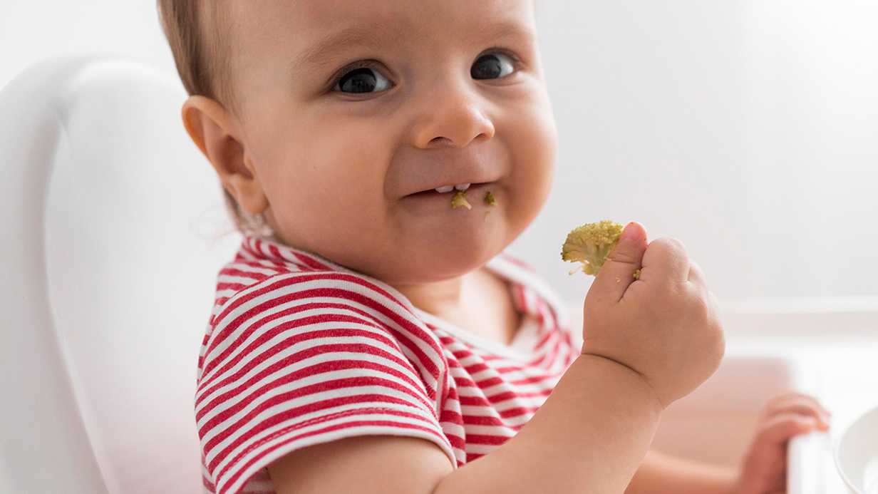 Bebeklere Bamya Ne Zaman Verilir? Bebekler İçin Bamya Yemeği Tarifi