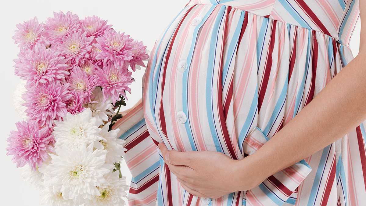 Hamilelik Sigortası Nedir, Neleri Kapsar? - Gebe.com