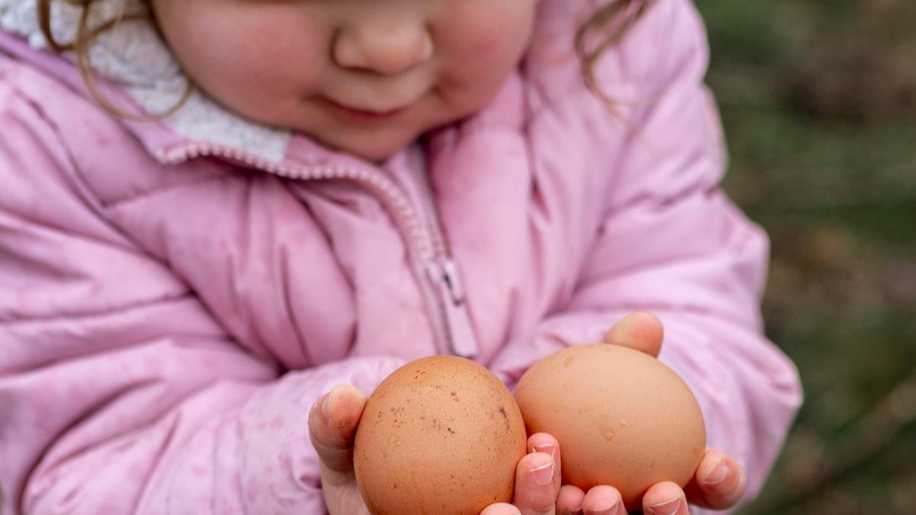 Bebekler İçin Yumurtalı Tarifler: Lezzetli ve Besleyici 8 Tarif!