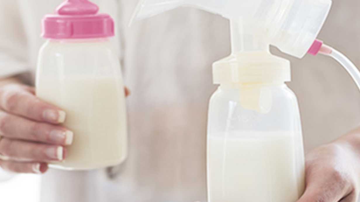 Süt Pompası Seçimi: Manuel mi Yoksa Elektrikli mi Almalıyım?
