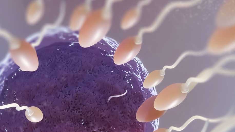 Sperm Sayısı ve Kalitesi Nasıl Artırılır?