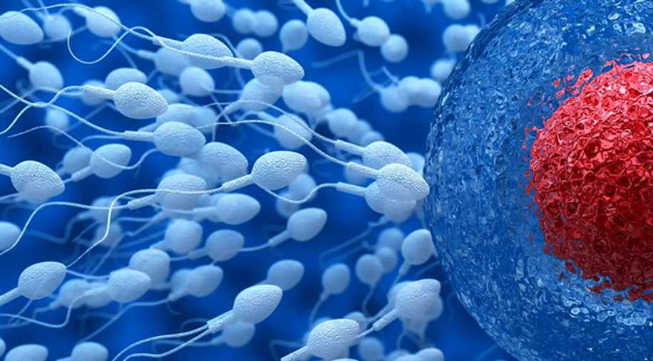 Erkekleri Baba Yapacak Sperm Radarı Keşfedildi!