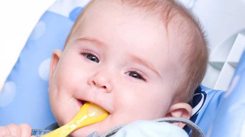8 Aylık Bebek Kahvaltısı Nasıl Olmalı? Tarifler ve Örnek Menüler
