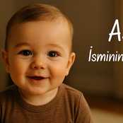 Asil İsminin Anlamı Nedir? Kökeni ve Özellikleri