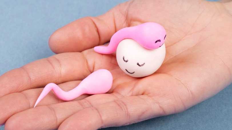 Sperm Sayısını Doğal Yollarla Artırmanın 7 Yolu