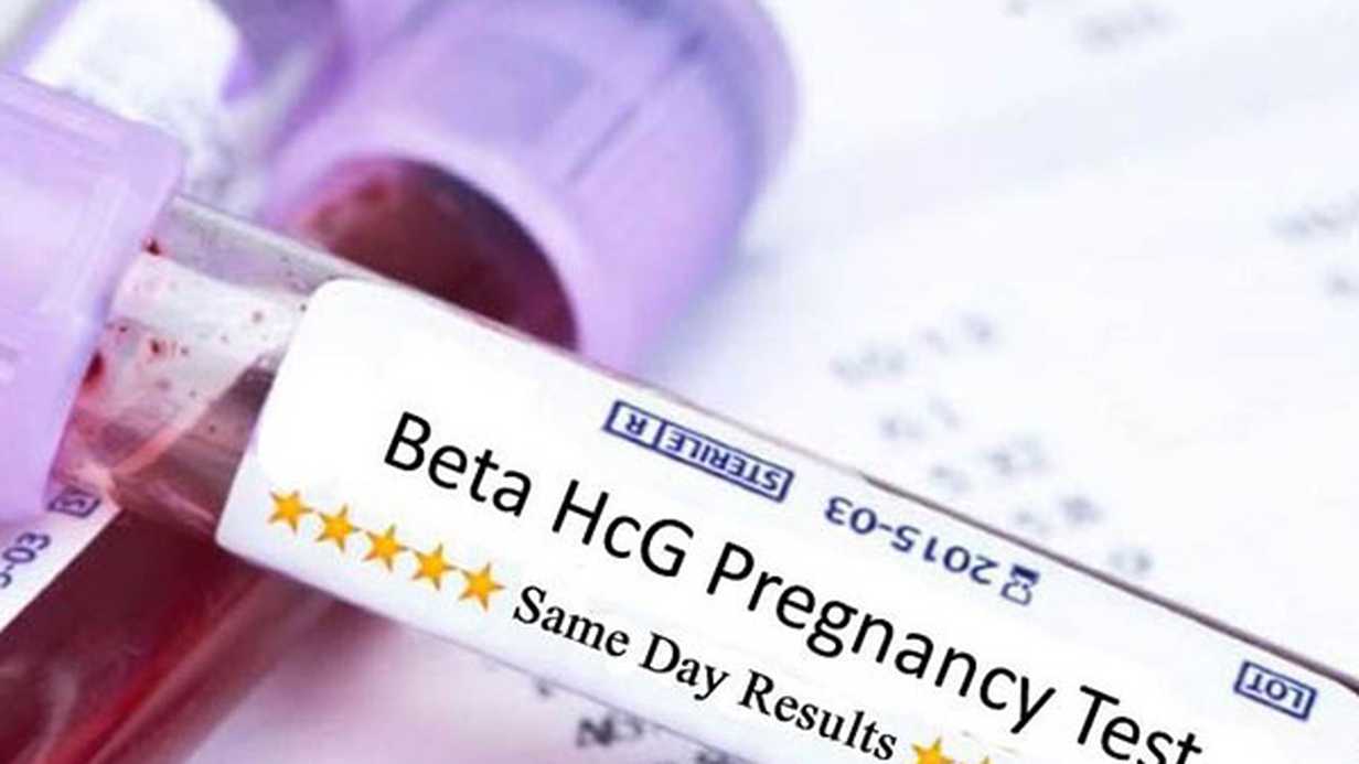 Beta HCG Hormonu Nedir, Kanda Ne Zaman Yükselir?