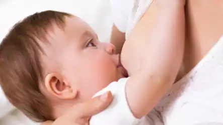 Anne Sütünün Daha Besleyici Olması İçin Tüketilebilecek En İyi 15 Besin!