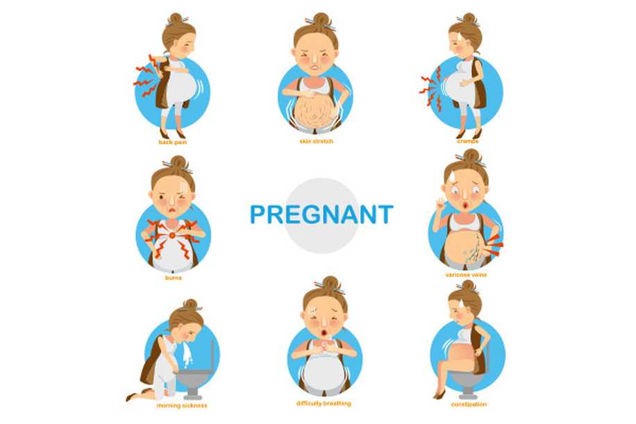 Hamilelikte Mide Yanmasına İyi Gelen Besinler