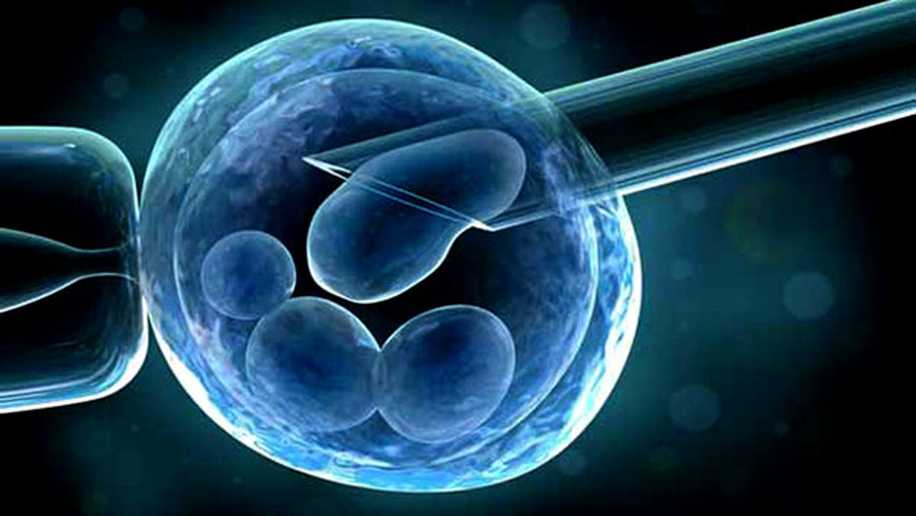 Embriyo Yapıştırıcısı Yöntemi Gebe Kalma Şansını Artırıyor