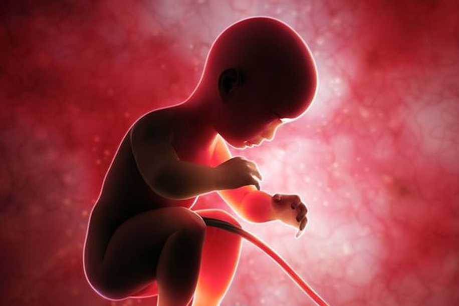 Serbest Fetal DNA Testi (NIPT) Nedir, Nasıl Yapılır?