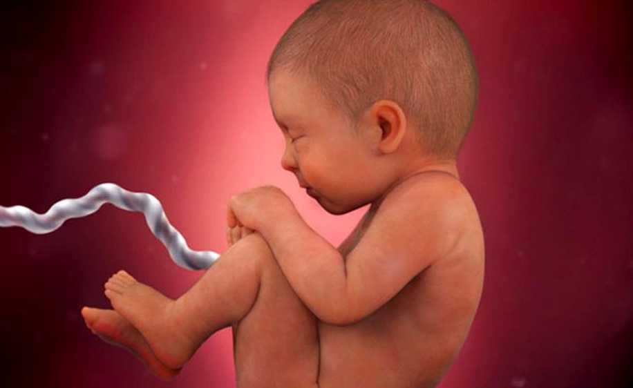 Bozuk Gen Bebek Daha Karnında İken Değiştirildi