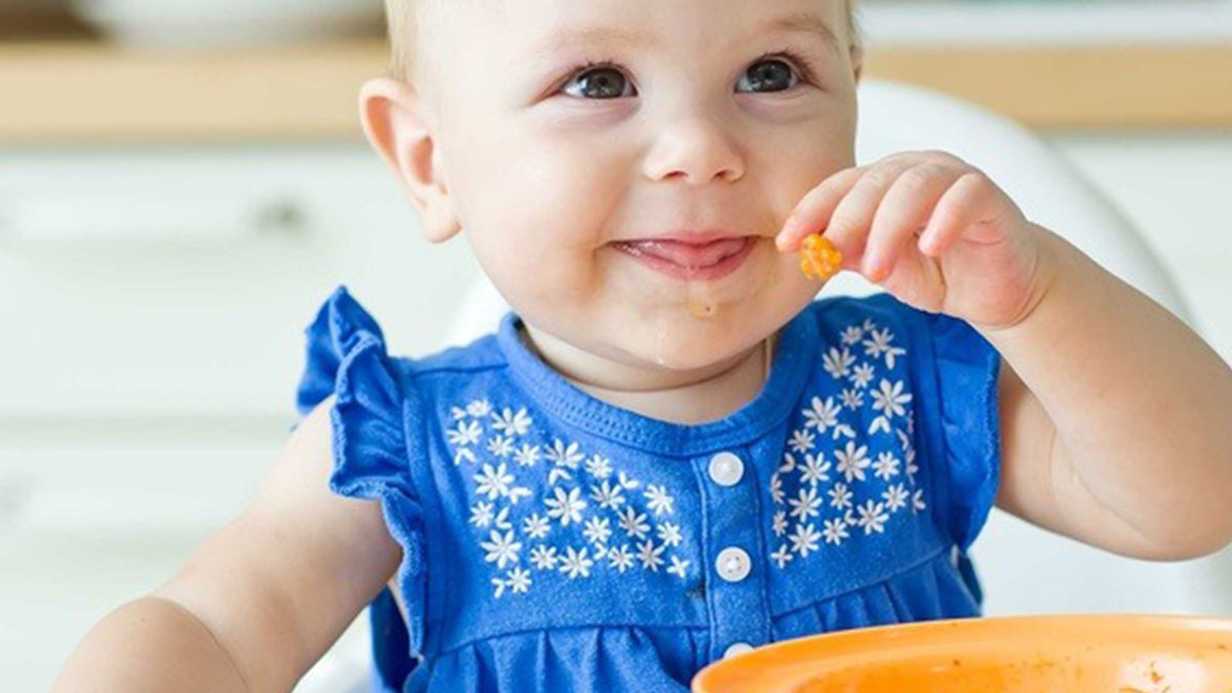 En Önemli Öğün: 6 Aylık Bebekler İçin Birbirinden Lezzetli Kahvaltı Tarifleri
