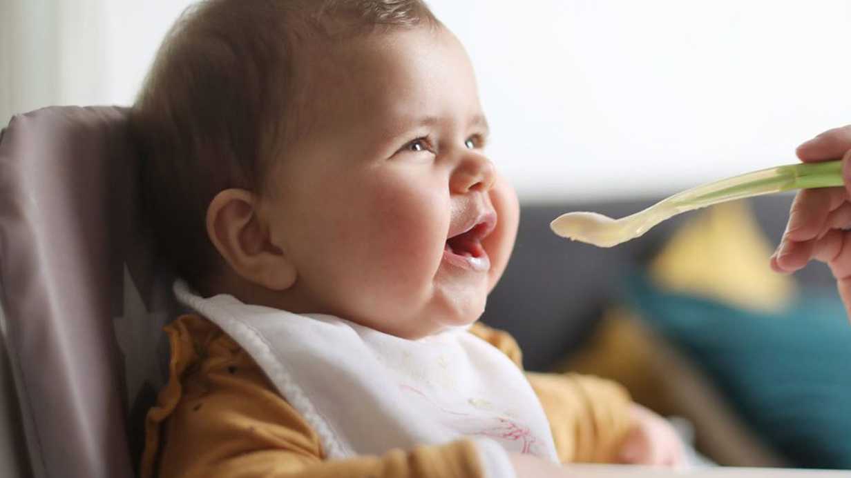 Bebekler İçin Zeytinyağlı Taze Fasulye Yemeği Tarifi