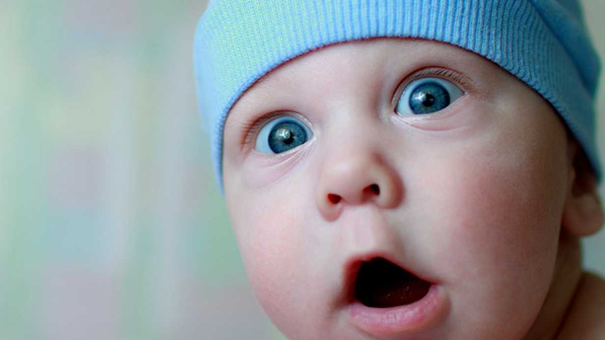 Bebekler Hakkında Duyunca Çok Şaşıracağınız İlginç Bilgiler