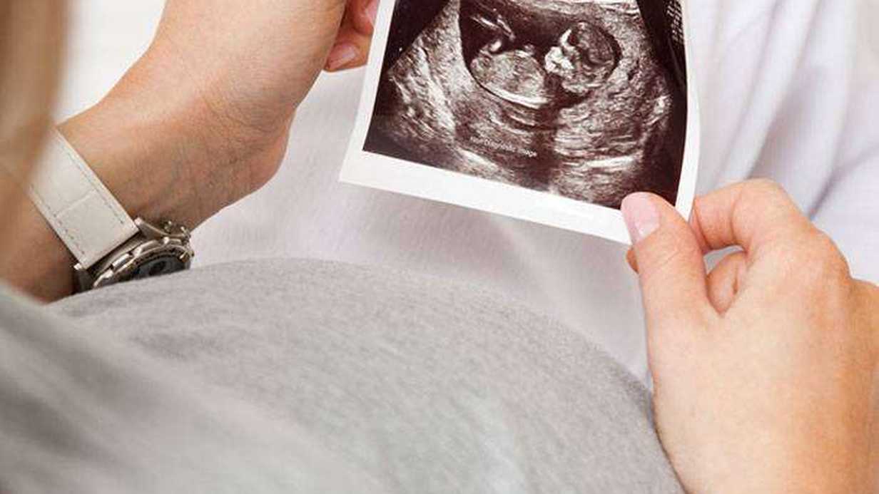 Hamile Olmanız İçin 20 Sebep