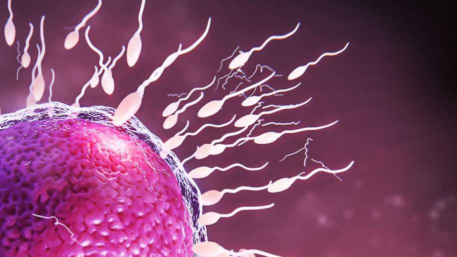 Sperm Sayısını Doğal Yollarla Artırmanın 7 Yolu