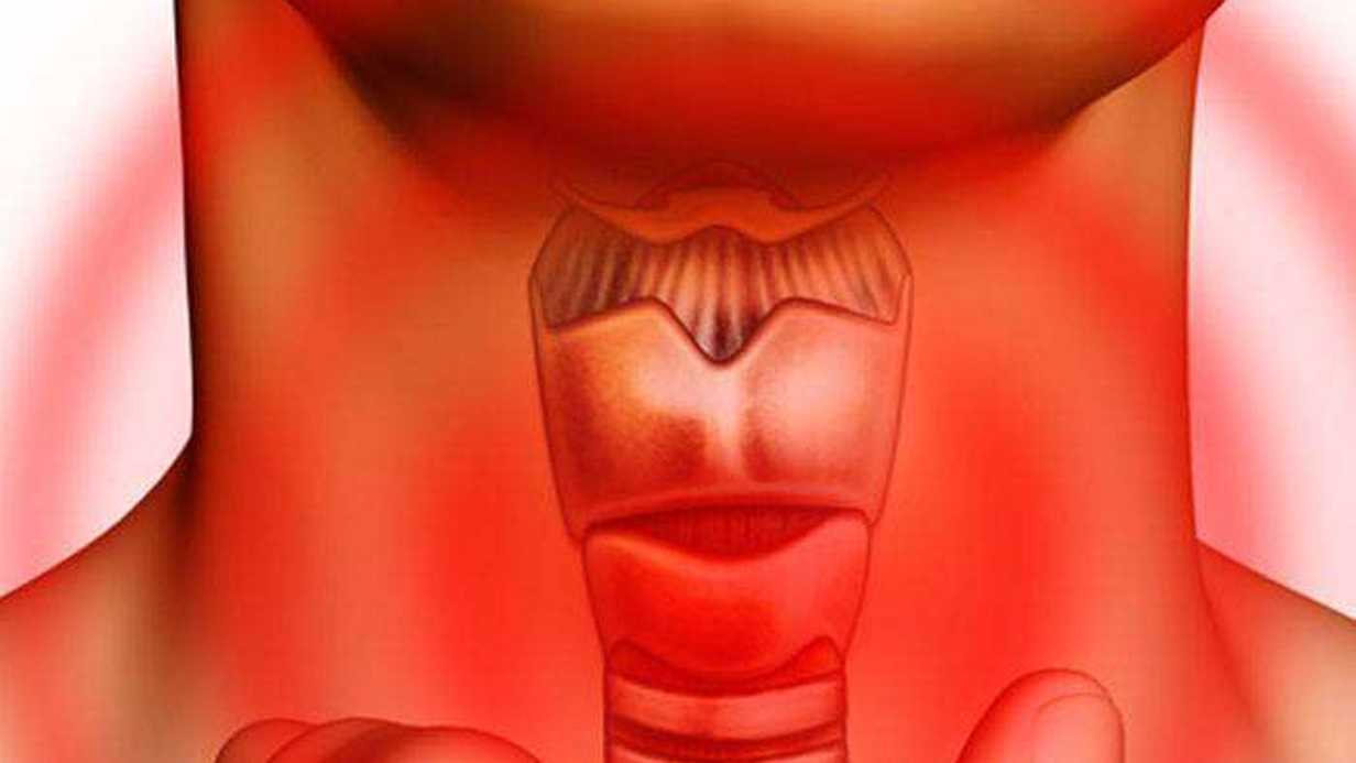 Hipotiroidizm Nedir?