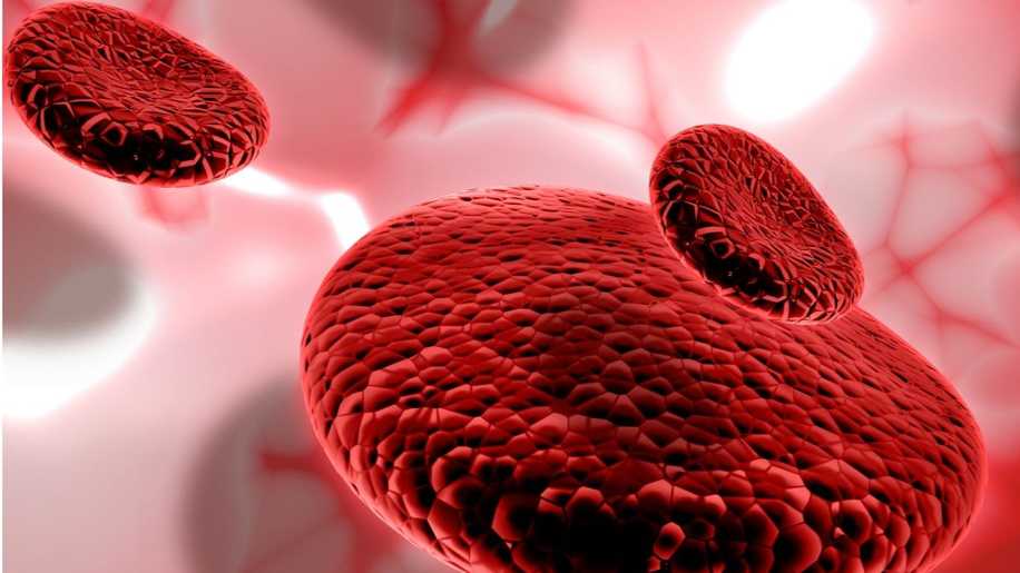 Gebelikte Hemoglobin Düşüklüğü Nasıl Giderilir?