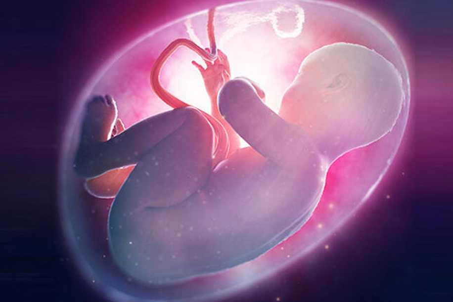 Amniyon Sıvısının Fazla Olması Erken Doğuma Neden Olur mu?