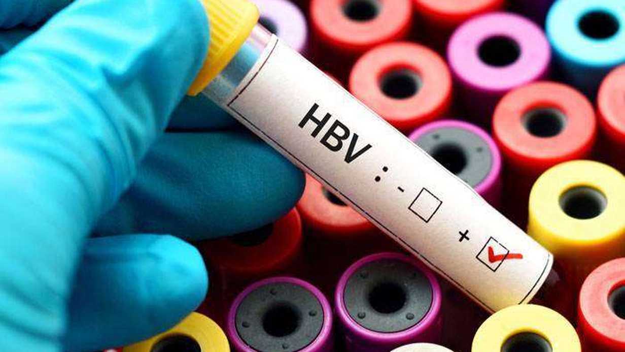 Hepatit-B Antikor Testi Nedir?