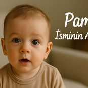 Pamir İsminin Anlamı Nedir? Kökeni ve Özellikleri
