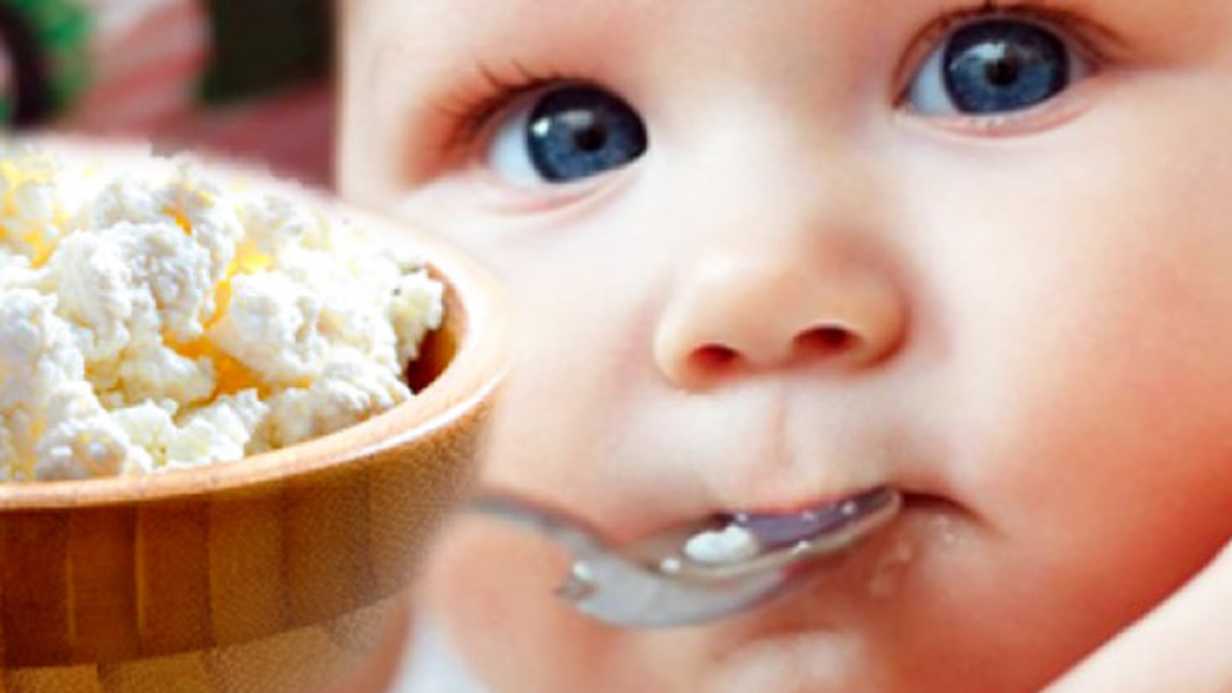 Bebeğiniz İçin Evde Kolayca Yapabileceğiniz Lor Peyniri Tarifi