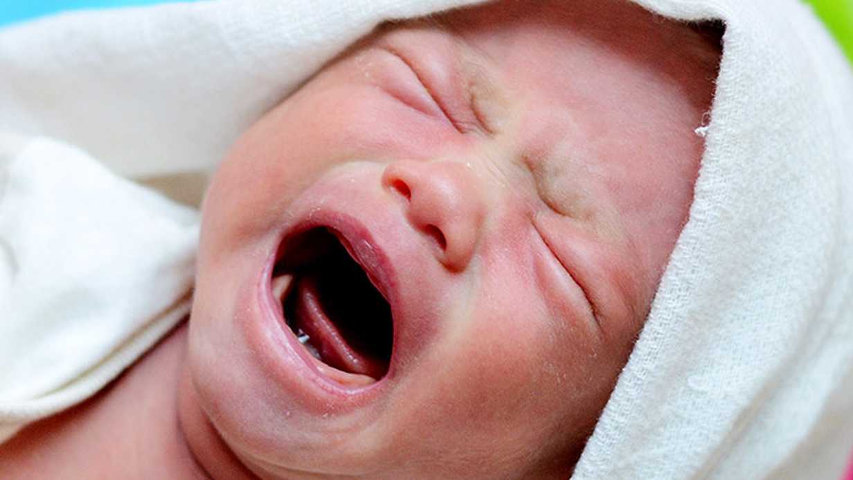 Yapılan Araştırmalar Bebeklerle İlgili Çok Şaşırtıcı Bir Gerçeği Ortaya Çıkardı
