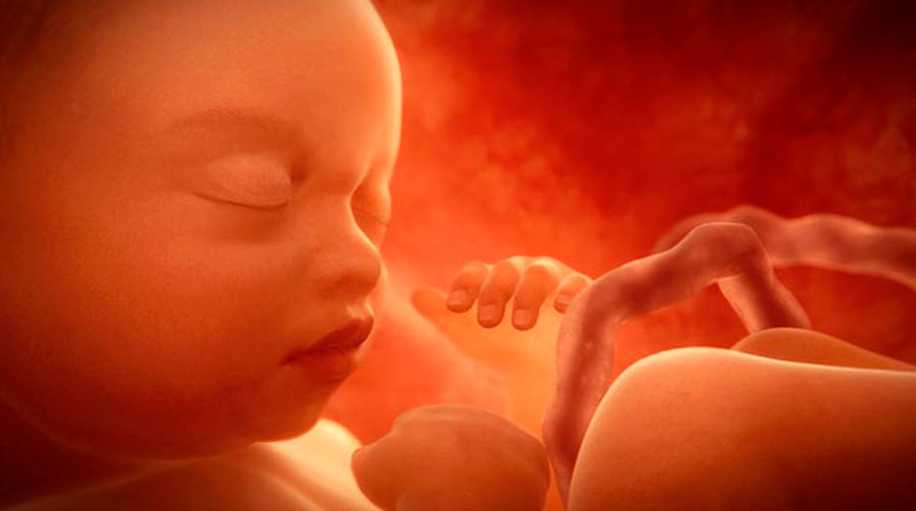 Anne Karnındaki Bebeğin Boynuna Kordon Dolandığı Nasıl Anlaşılır?