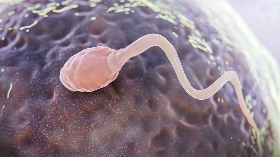 Sperm Yutulursa Hamile Kalınır mı?