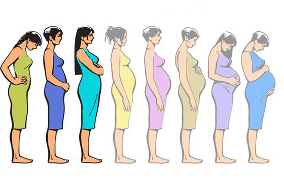 Hamilelik Kanda veya İdrar Testinde Ne Zaman Belli Olur?