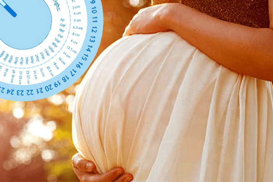 Tüp Bebekte Gebelik Haftası Nasıl Hesaplanır?