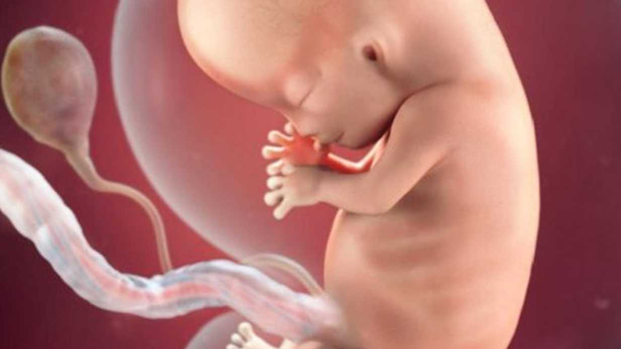 Amniyon Sıvısının Fazla Olması Erken Doğuma Neden Olur mu?